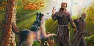 Prapaskah Bersama St. Fransiskus Assisi: “Mengampuni. Kemudian, Mengampuni Lagi”