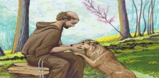 Prapaskah Bersama St. Fransiskus Assisi: “Menjinakkan Serigala”