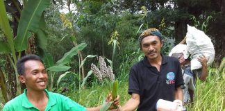 Berilah Kami Makanan Secukupnya