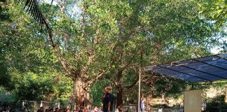 OMK Dekenat Belu Utara Keuskupan Atambua Gelar Ziarah Bertemakan OMK Sebagai Agen Literasi Teknologi dan Ekologi