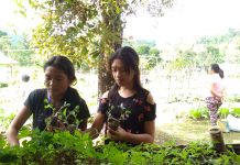 Connect With Nature, Hari Kedua Temu OMK