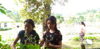 Connect With Nature, Hari Kedua Temu OMK