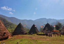 Surat Terbuka Lami Tana Dading: Cegah Kerusakan Lingkungan dan Masyarakat Manggarai Raya!