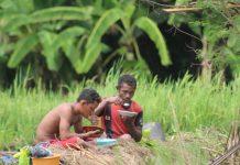 Perubahan Iklim: Di antara Pertanian dan Rencana Pabrik Semen di Manggarai Timur Areal persawahan Luwuk (dok.JPIC OFM Indonesia)