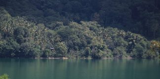 Kertas Posisi: Narasi Di balik Penolakan Proyek Panas Bumi Waesano, Manggarai Barat, NTT