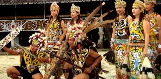 Galau Andong Pada Puku