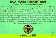 Doa Masa Penciptaan 2020, Pekan Pertama: Doa Bagi Hutan