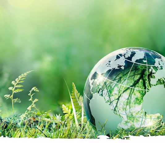 Revolusi Laudato Si’: Melawan Keegoisan, Menciptakan Keharmonisan