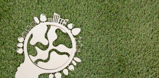 Ekonomi dan Gagasan Mengenai Lingkungan