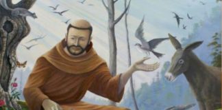 Prinsip-Prinsip Dasar Etika Lingkungan Fransiskan