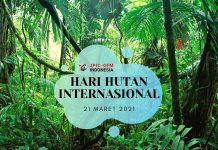 Refleksi Hari Hutan (21 Maret)