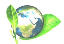 Santo Fransiskus Assisi, Laudato Si, dan Piagam Milan