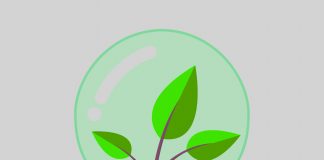 Laudato Si, Teknologi, dan Persoalan Lingkungan