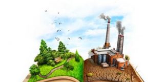 GAGASAN MENGENAI EKOLOGI SETELAH KONSILI VATIKAN II