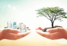 CARA PANDANG EVOLUSIONER DAN EKOLOGIS PIERRE TEILHARD DE CHARDIN SERTA THOMAS BERRY