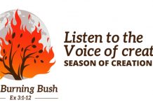 Teks Ibadat Pembukaan Masa Ciptaan Tahun 2022: “Dengarkan Suara Ciptaan”