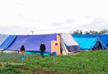 JPIC OFM Indonesia Membantu Korban Gempa Cianjur (1)