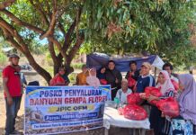 Laporan Harian JPIC OFM Indonesia: Solidarita & Tanggap Darurat Gempa Flores NTT